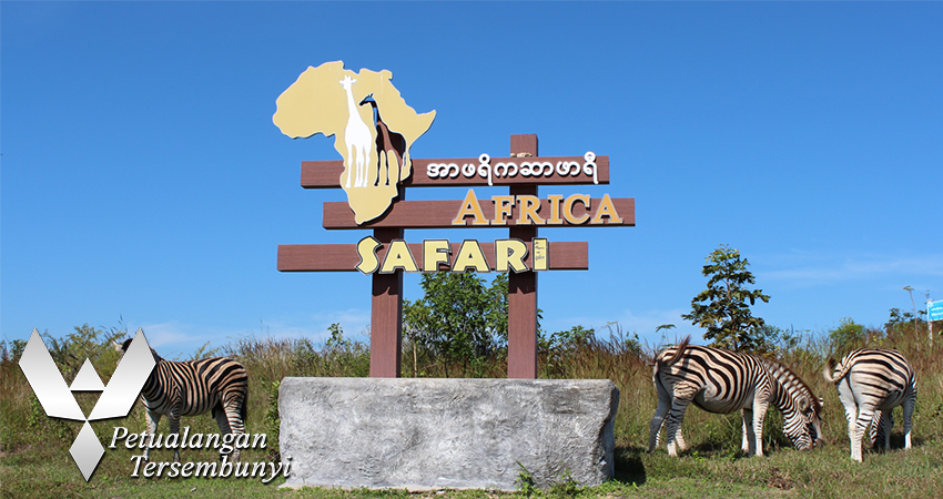 Pengalaman Safari Alam Liar di Myanmar